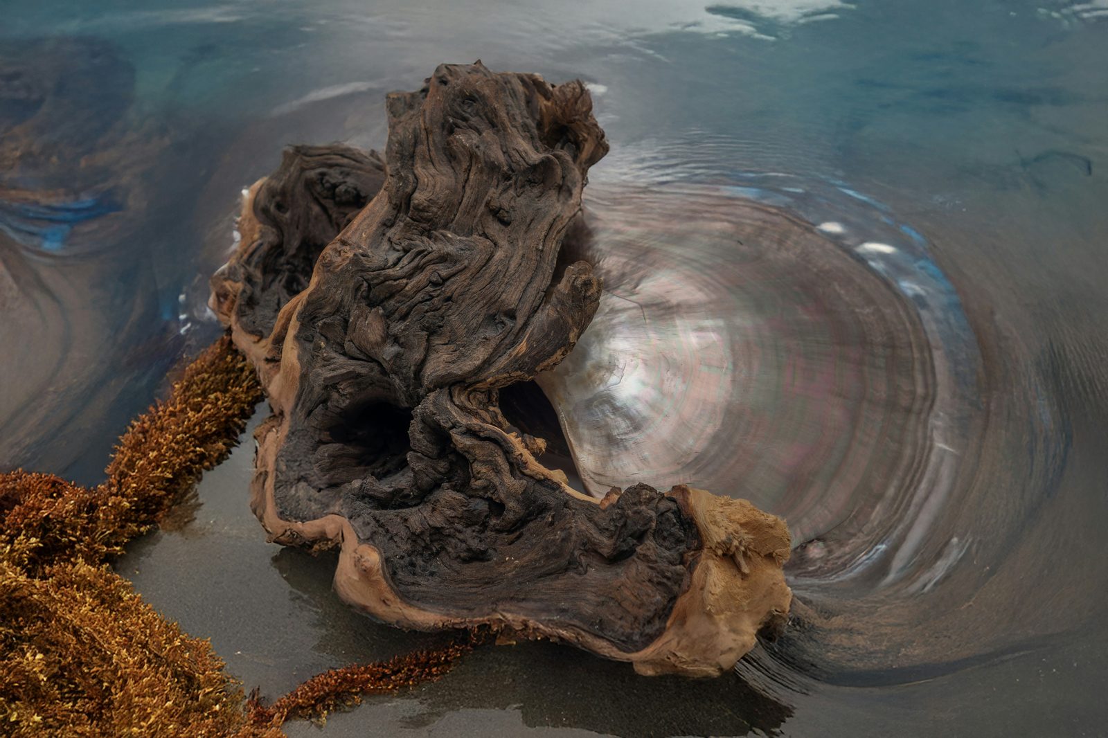 Collected driftwood on water — the raw material behind every Resin Art Factory piece